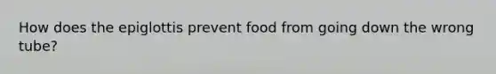How does the epiglottis prevent food from going down the wrong tube?