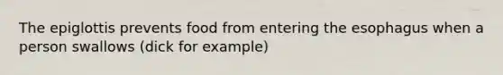 The epiglottis prevents food from entering the esophagus when a person swallows (dick for example)
