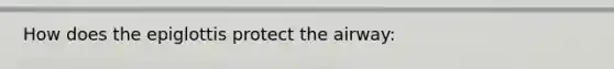 How does the epiglottis protect the airway: