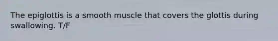 The epiglottis is a smooth muscle that covers the glottis during swallowing. T/F