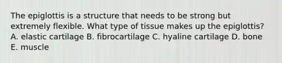 The epiglottis is a structure that needs to be strong but extremely flexible. What type of tissue makes up the epiglottis? A. elastic cartilage B. fibrocartilage C. hyaline cartilage D. bone E. muscle