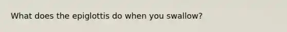 What does the epiglottis do when you swallow?