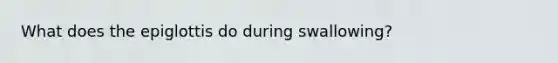 What does the epiglottis do during swallowing?