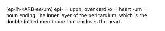 (ep-ih-KARD-ee-um) epi- = upon, over cardi/o = heart -um = noun ending The inner layer of the pericardium, which is the double-folded membrane that encloses the heart.