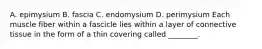 A. epimysium B. fascia C. endomysium D. perimysium Each muscle fiber within a fascicle lies within a layer of connective tissue in the form of a thin covering called ________.