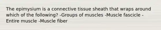 The epimysium is a connective tissue sheath that wraps around which of the following? -Groups of muscles -Muscle fascicle -Entire muscle -Muscle fiber