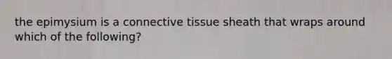 the epimysium is a connective tissue sheath that wraps around which of the following?