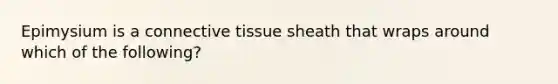 Epimysium is a <a href='https://www.questionai.com/knowledge/kYDr0DHyc8-connective-tissue' class='anchor-knowledge'>connective tissue</a> sheath that wraps around which of the following?