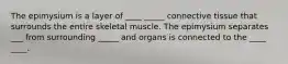 The epimysium is a layer of ____ _____ connective tissue that surrounds the entire skeletal muscle. The epimysium separates ___ from surrounding _____ and organs is connected to the ____ ____.