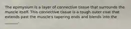 The epimysium is a layer of connective tissue that surrounds the muscle itself. This connective tissue is a tough outer coat that extends past the muscle's tapering ends and blends into the _______.