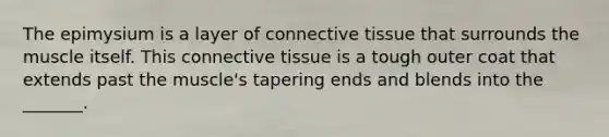 The epimysium is a layer of connective tissue that surrounds the muscle itself. This connective tissue is a tough outer coat that extends past the muscle's tapering ends and blends into the _______.