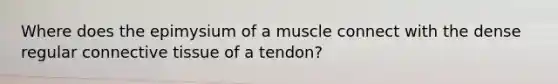 Where does the epimysium of a muscle connect with the dense regular connective tissue of a tendon?