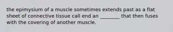 the epimysium of a muscle sometimes extends past as a flat sheet of connective tissue call end an ________ that then fuses with the covering of another muscle.