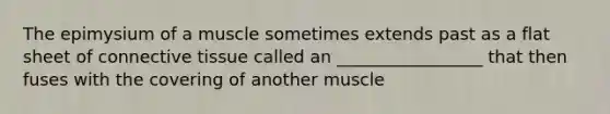 The epimysium of a muscle sometimes extends past as a flat sheet of connective tissue called an _________________ that then fuses with the covering of another muscle