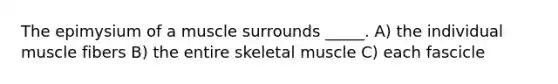 The epimysium of a muscle surrounds _____. A) the individual muscle fibers B) the entire skeletal muscle C) each fascicle