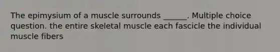 The epimysium of a muscle surrounds ______. Multiple choice question. the entire skeletal muscle each fascicle the individual muscle fibers