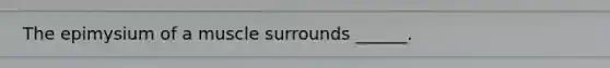 The epimysium of a muscle surrounds ______.