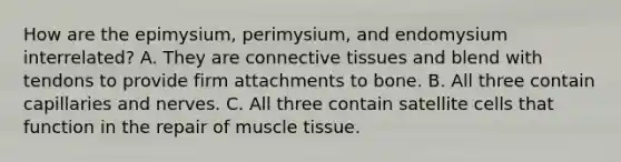 How are the epimysium, perimysium, and endomysium interrelated? A. They are connective tissues and blend with tendons to provide firm attachments to bone. B. All three contain capillaries and nerves. C. All three contain satellite cells that function in the repair of muscle tissue.