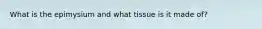 What is the epimysium and what tissue is it made of?