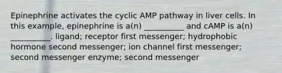 Epinephrine activates the cyclic AMP pathway in liver cells. In this example, epinephrine is a(n) __________ and cAMP is a(n) __________. ligand; receptor first messenger; hydrophobic hormone second messenger; ion channel first messenger; second messenger enzyme; second messenger