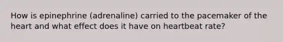 How is epinephrine (adrenaline) carried to the pacemaker of the heart and what effect does it have on heartbeat rate?