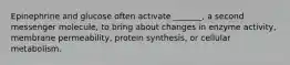 Epinephrine and glucose often activate _______, a second messenger molecule, to bring about changes in enzyme activity, membrane permeability, protein synthesis, or cellular metabolism.