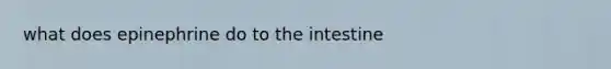 what does epinephrine do to the intestine