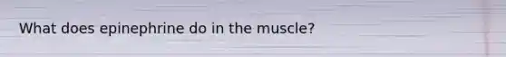 What does epinephrine do in the muscle?