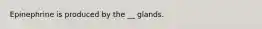 Epinephrine is produced by the __ glands.