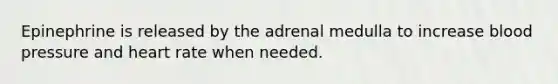 Epinephrine is released by the adrenal medulla to increase blood pressure and heart rate when needed.