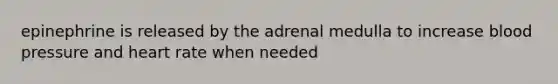 epinephrine is released by the adrenal medulla to increase blood pressure and heart rate when needed