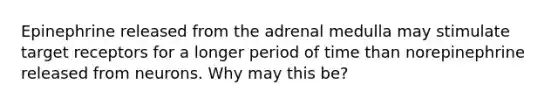 Epinephrine released from the adrenal medulla may stimulate target receptors for a longer period of time than norepinephrine released from neurons. Why may this be?