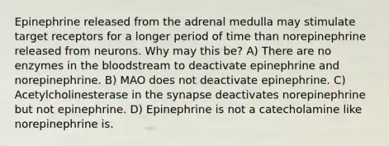 Epinephrine released from the adrenal medulla may stimulate target receptors for a longer period of time than norepinephrine released from neurons. Why may this be? A) There are no enzymes in the bloodstream to deactivate epinephrine and norepinephrine. B) MAO does not deactivate epinephrine. C) Acetylcholinesterase in the synapse deactivates norepinephrine but not epinephrine. D) Epinephrine is not a catecholamine like norepinephrine is.