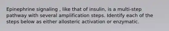 Epinephrine signaling , like that of insulin, is a multi-step pathway with several amplification steps. Identify each of the steps below as either allosteric activation or enzymatic.