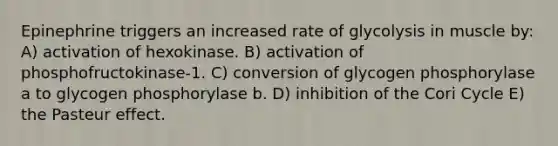 Epinephrine triggers an increased rate of glycolysis in muscle by: A) activation of hexokinase. B) activation of phosphofructokinase-1. C) conversion of glycogen phosphorylase a to glycogen phosphorylase b. D) inhibition of the Cori Cycle E) the Pasteur effect.