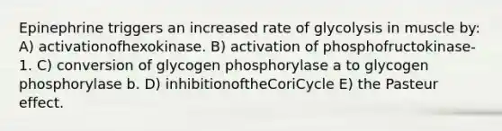 Epinephrine triggers an increased rate of glycolysis in muscle by: A) activationofhexokinase. B) activation of phosphofructokinase-1. C) conversion of glycogen phosphorylase a to glycogen phosphorylase b. D) inhibitionoftheCoriCycle E) the Pasteur effect.