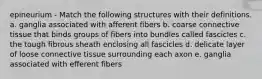 epineurium - Match the following structures with their definitions. a. ganglia associated with afferent fibers b. coarse connective tissue that binds groups of fibers into bundles called fascicles c. the tough fibrous sheath enclosing all fascicles d. delicate layer of loose connective tissue surrounding each axon e. ganglia associated with efferent fibers