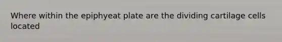 Where within the epiphyeat plate are the dividing cartilage cells located