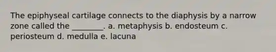 The epiphyseal cartilage connects to the diaphysis by a narrow zone called the ________. a. metaphysis b. endosteum c. periosteum d. medulla e. lacuna