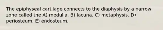 The epiphyseal cartilage connects to the diaphysis by a narrow zone called the A) medulla. B) lacuna. C) metaphysis. D) periosteum. E) endosteum.