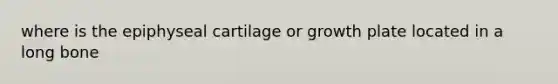 where is the epiphyseal cartilage or growth plate located in a long bone