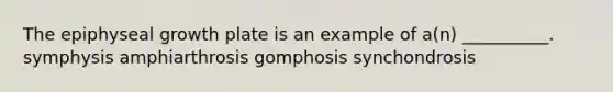 The epiphyseal growth plate is an example of a(n) __________. symphysis amphiarthrosis gomphosis synchondrosis