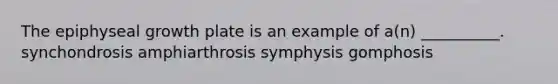 The epiphyseal growth plate is an example of a(n) __________. synchondrosis amphiarthrosis symphysis gomphosis