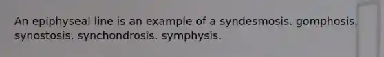 An epiphyseal line is an example of a syndesmosis. gomphosis. synostosis. synchondrosis. symphysis.