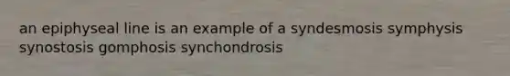 an epiphyseal line is an example of a syndesmosis symphysis synostosis gomphosis synchondrosis