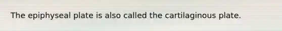 The epiphyseal plate is also called the cartilaginous plate.