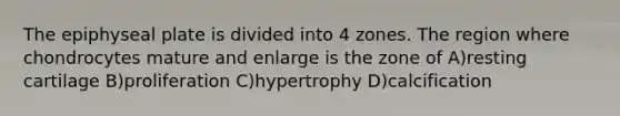 The epiphyseal plate is divided into 4 zones. The region where chondrocytes mature and enlarge is the zone of A)resting cartilage B)proliferation C)hypertrophy D)calcification