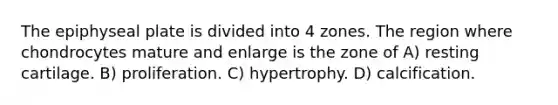 The epiphyseal plate is divided into 4 zones. The region where chondrocytes mature and enlarge is the zone of A) resting cartilage. B) proliferation. C) hypertrophy. D) calcification.