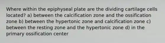 Where within the epiphyseal plate are the dividing cartilage cells located? a) between the calcification zone and the ossification zone b) between the hypertonic zone and calcification zone c) between the resting zone and the hypertonic zone d) in the primary ossification center