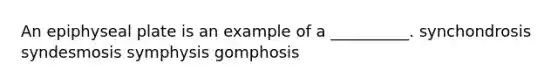 An epiphyseal plate is an example of a __________. synchondrosis syndesmosis symphysis gomphosis